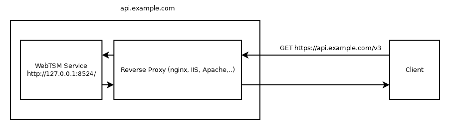 proxy.png