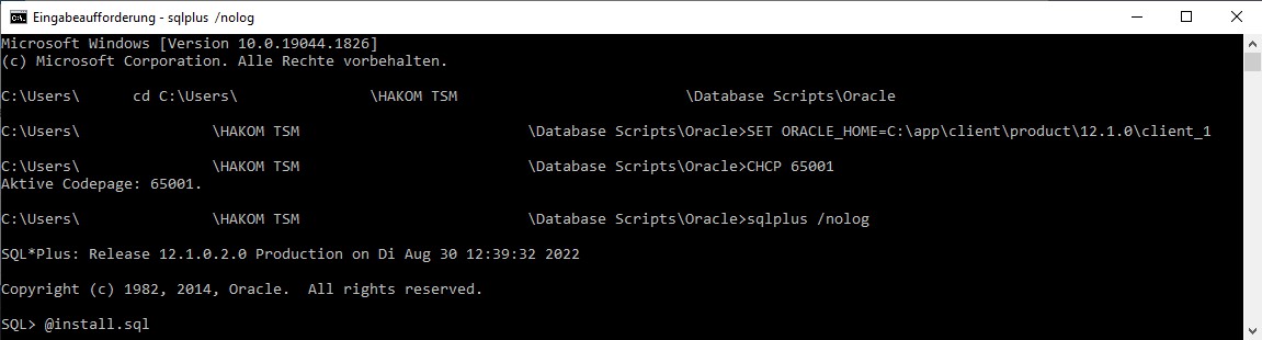 cmd-oracle.jpg